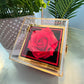 Alluring Beauty Necklace with Rotating Rose Gift Box