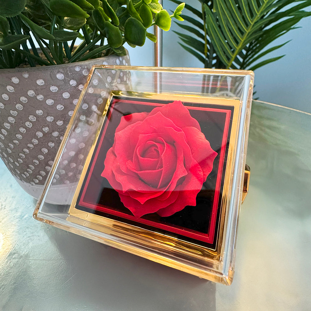 Alluring Beauty Necklace with Rotating Rose Gift Box